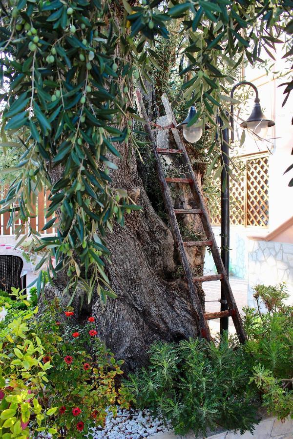 Villa Marchionna Vieste Zewnętrze zdjęcie